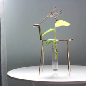 Marble Queen Pothos Clipping with Glass Tube and Holder